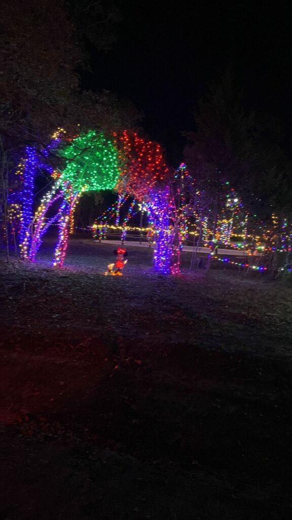 Christmas Festival