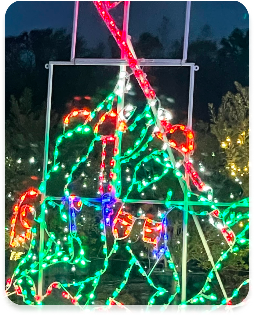 Christmas Celebrates