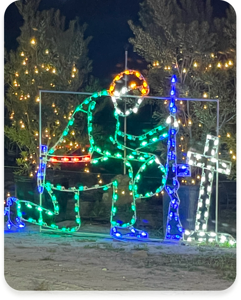 Christmas Celebrates