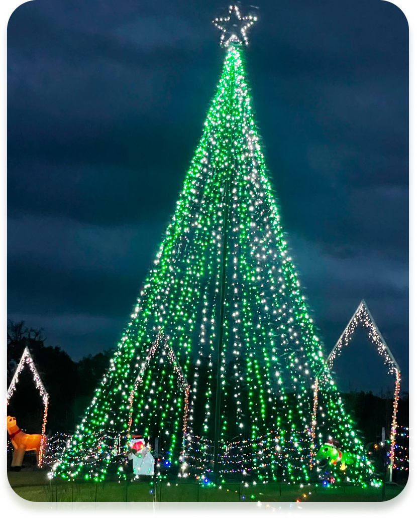 Christmas Celebrates