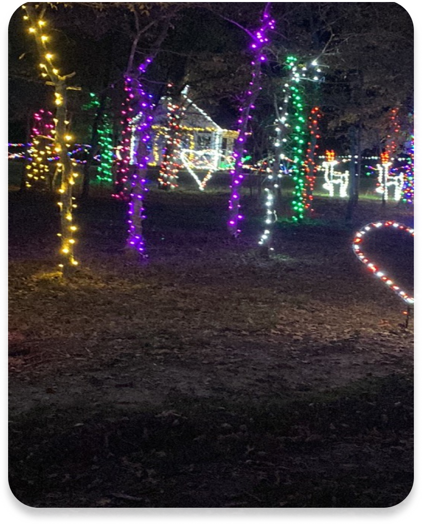 Christmas Celebrates