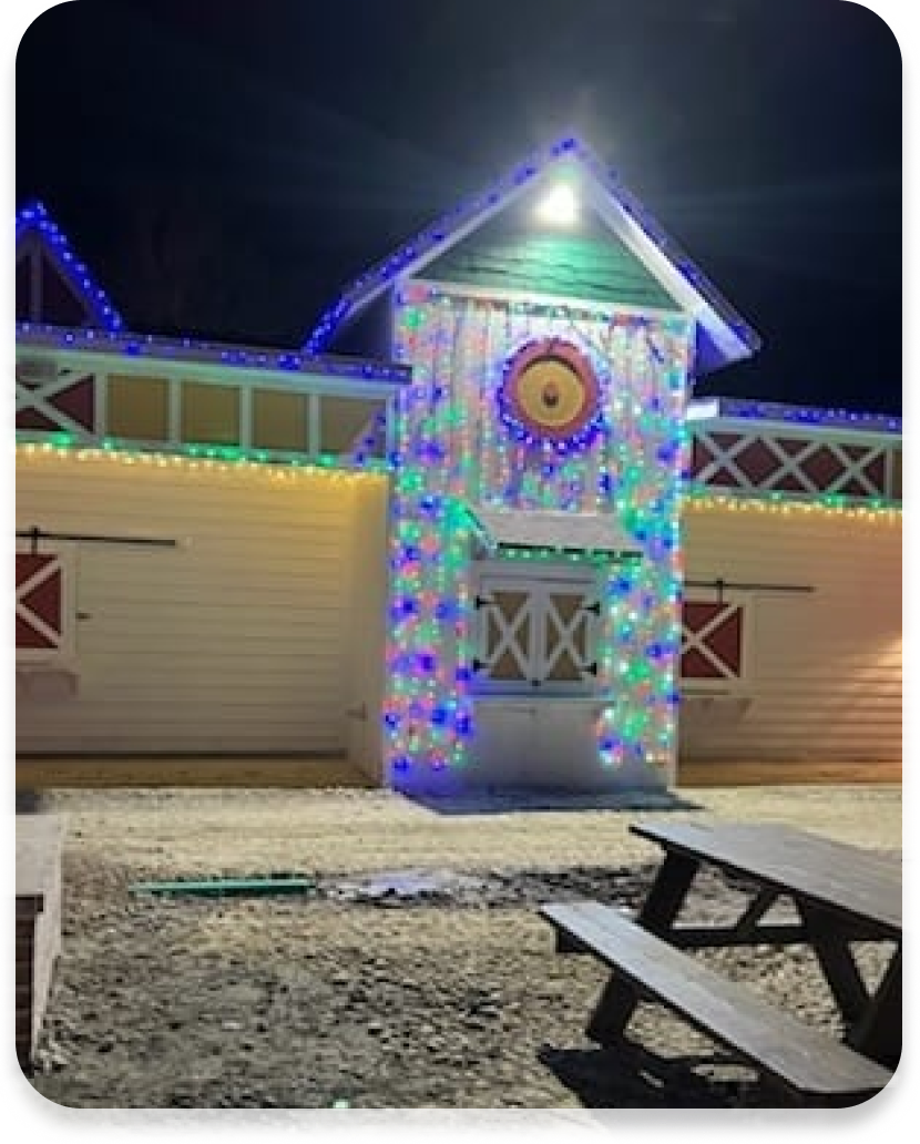 Christmas Celebrates