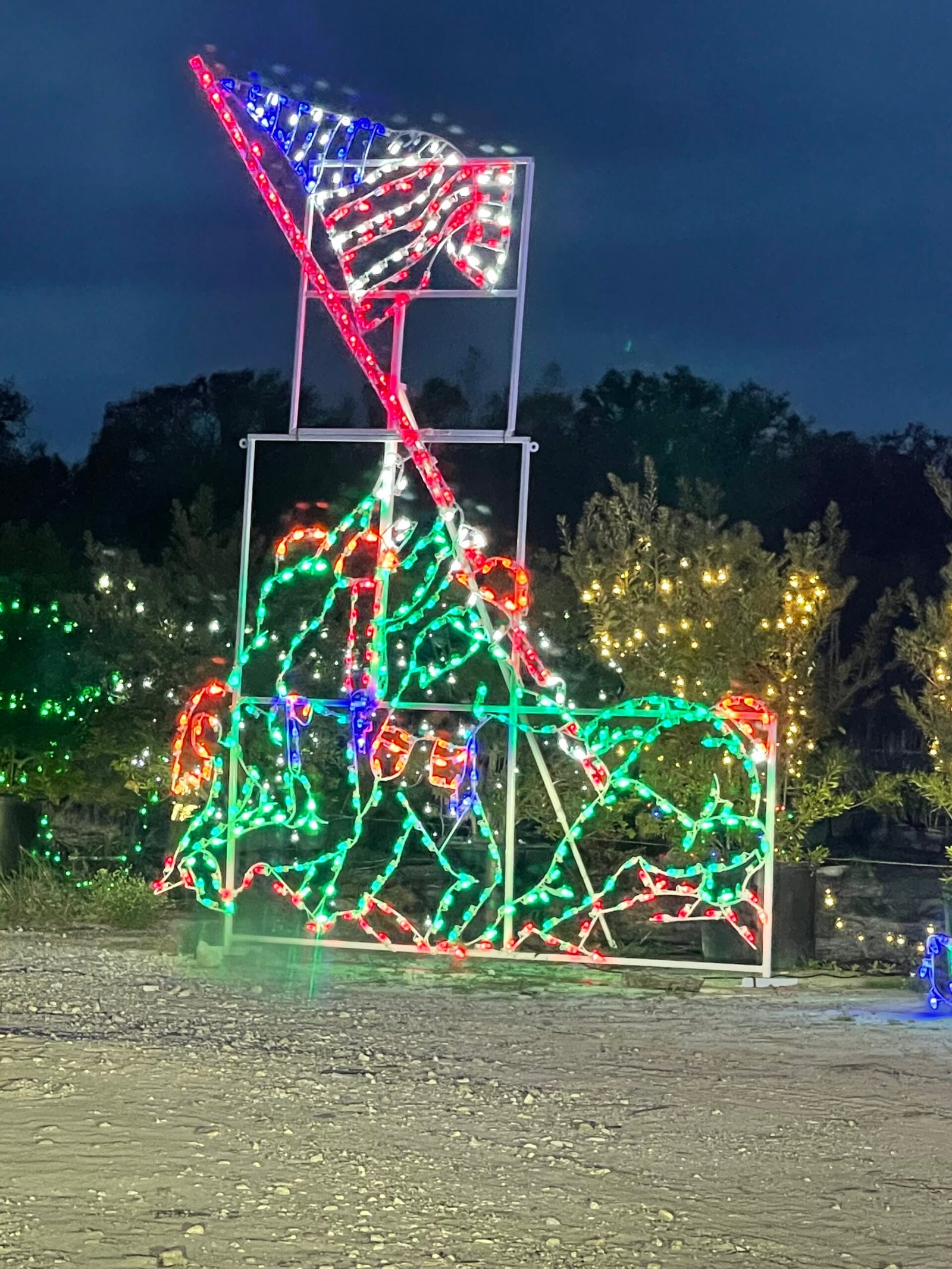 At Christmas Tree Farm