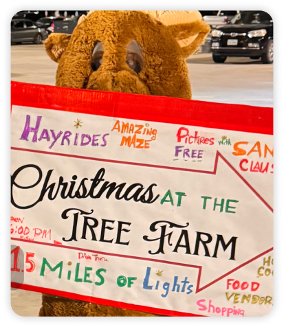Christmas At The Tree Farm