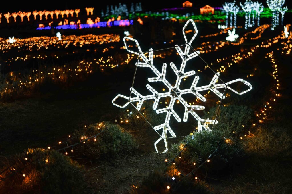 Christmas Lights in College Station